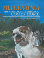 Bullmina the Courageous Bulldog Comes Home