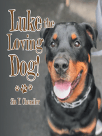 Luke the Loving Dog!