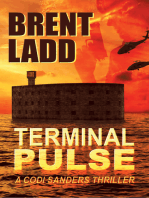Terminal Pulse