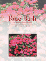Rose Bush: An Autobiographical Account