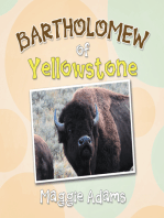 Bartholomew of Yellowstone