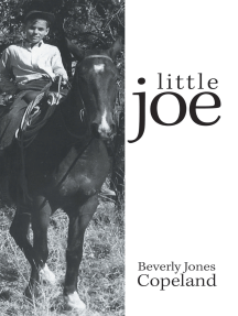 Little Joe by Beverly Jones Copeland (Ebook) - Read free for 30 days