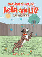 The Adventures of Bella and Lily: The Beginning