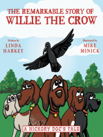 The Remarkable Story of Willie the Crow: A Hickory Doc’s Tale