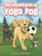 The Adventures of Yoga Dog
