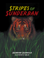 Stripes of Sunderban