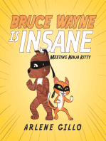 Bruce Wayne Is Insane: Meeting Ninja Kitty