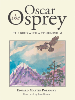 Oscar the Osprey: The Bird with a Conundrum