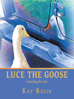 Luce the Goose: Searching for Love