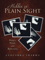 Hidden in Plain Sight: Images, Words, and Reflections