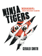 Ninja Tigers