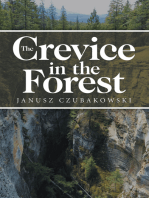 The Crevice in the Forest