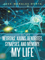 Neurons, Axons, Dendrites, Synapses, and Memory: My Life
