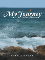 My Journey: Uncharted Waters