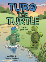 Turq the Turtle: Land and Sea