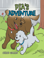 Pia’s Adventure