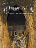 Wandering Off: Nature's Notable Nourishments