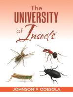 The University of Insects