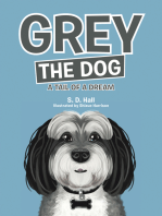 Grey the Dog
