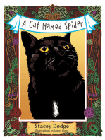 A Cat Named Spider