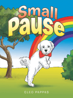 Small Pause