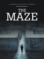 The Maze