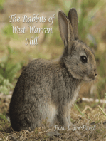 The Rabbits of West Warren Hill