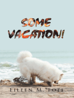 Some Vacation!