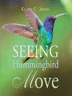 Seeing Hummingbird Move