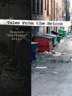Tales from the Briccs