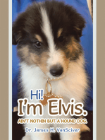 Hi! I’m Elvis.