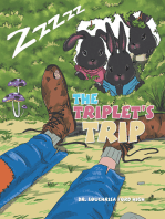 The Triplet's Trip