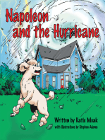 Napoleon and the Hurricane