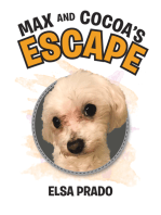 Max and Cocoa's Escape