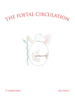 The Foetal Circulation