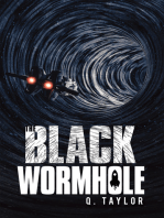 The Black Wormhole