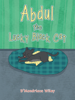 Abdul the Lucky Black Cat
