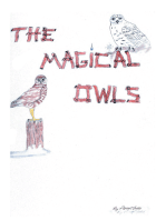 The Magical Owls