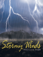 Stormy Winds