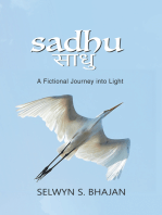 Sadhu: A Fictional Journey into Light