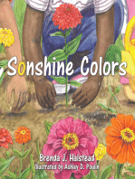 Sonshine Colors