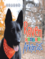Raven Goes To Arkansas
