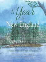 A Year in New England: A Nature Acrostic Poem Book About Months