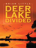 Deer Lake Divided