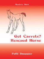 Got Carrots? Rescued Horse: Mystery Mare
