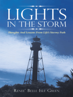 Lights in the Storm: Thoughts and Lessons from Life’s Stormy Path