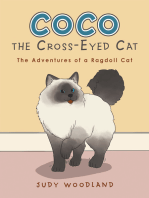 Coco the Cross-Eyed Cat: The Adventures of a Ragdoll Cat