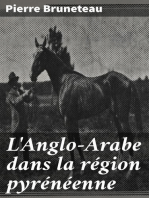 L'Anglo-Arabe dans la région pyrénéenne