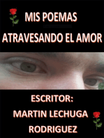 Mis poemas atravesando el amor