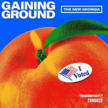 Gaining Ground: The New Georgia